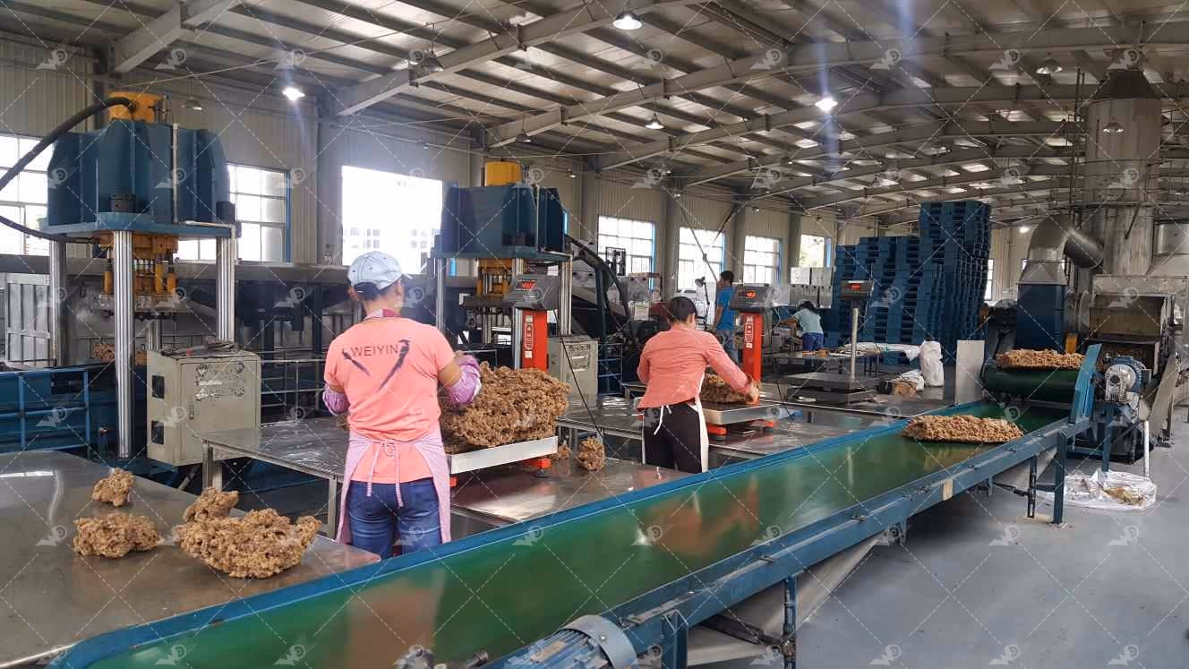 Weida Machinery case study site photo 2: Yunnan Xishuangbanna 40,000-Ton Compound Rubber Plant