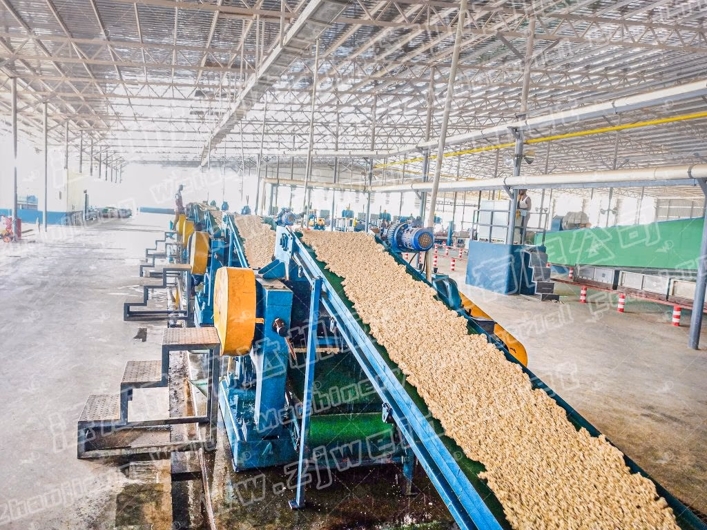 Weida Machinery case study site photo 3: Côte d'Ivoire 43,200-Ton TSR10 Natural Rubber Line