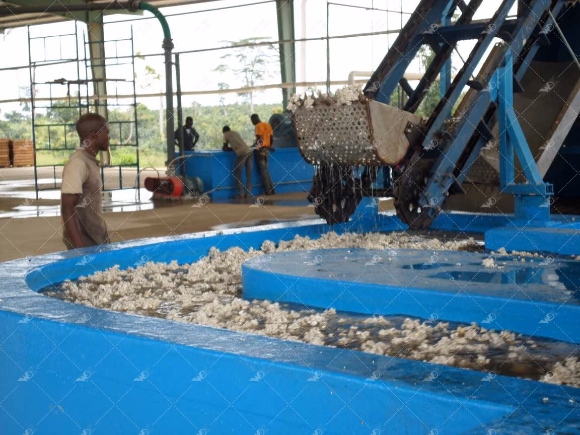 Weida Machinery case study: Côte d'Ivoire 16,800-Ton TSR20 Natural Rubber Line