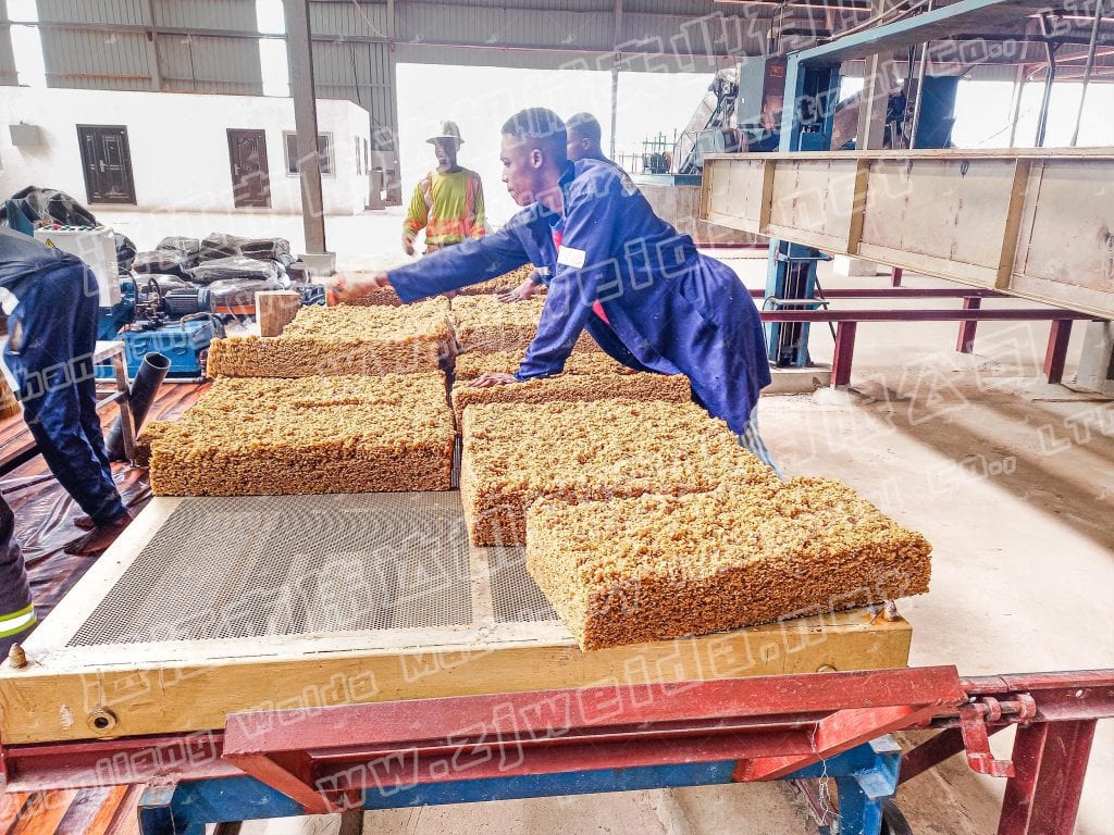 科特迪瓦4.32万吨天然橡胶TSR10生产线