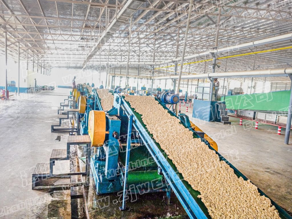 科特迪瓦4.32万吨天然橡胶TSR10生产线