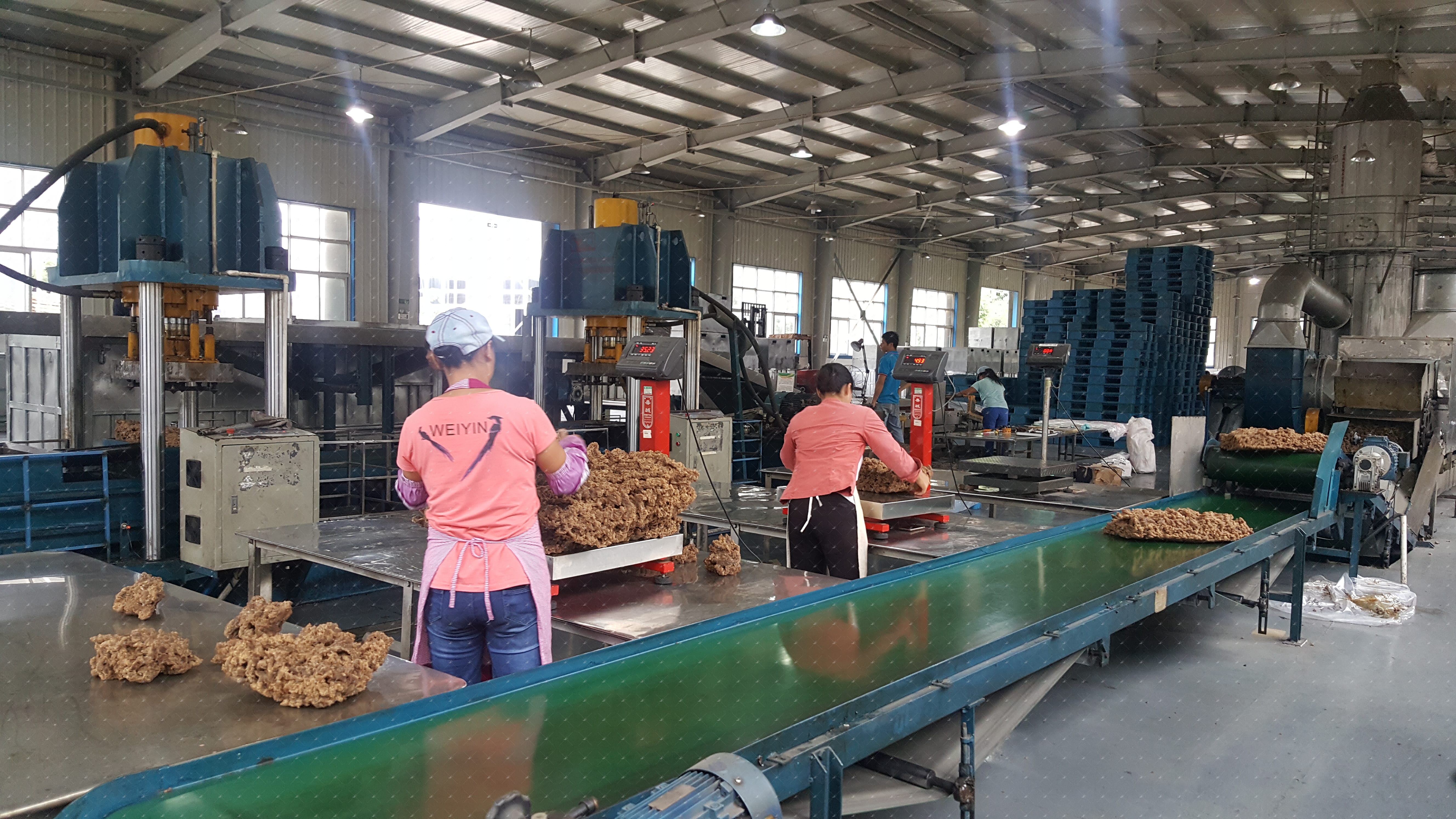 Yunnan Xishuangbanna 40,000-Ton Compound Rubber Plant